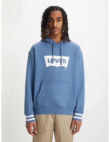 Sudadera Levi's® Relaxed Graphic Hoodie 38479-0121