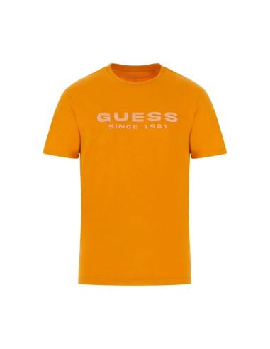 CAMISETA GUESS M4GI61 J1314 G3K5